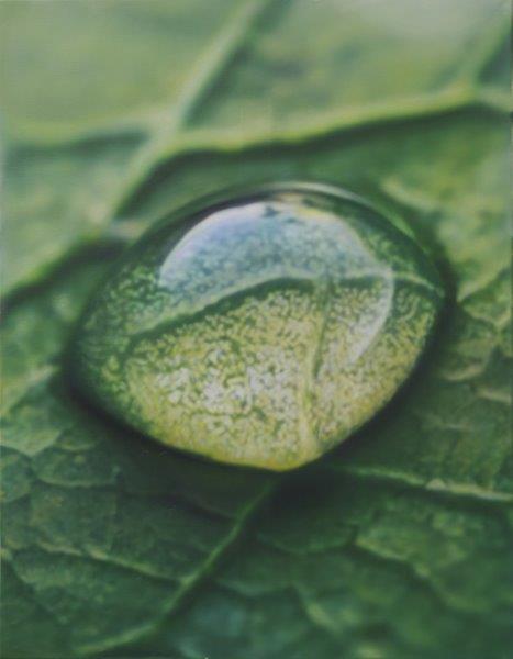 Transit 299 - Öl auf Leinwand - 2025 - 90 x 60 cm Transit 299 - Öl auf Leinwand - 2025 - 90 x 60 cm